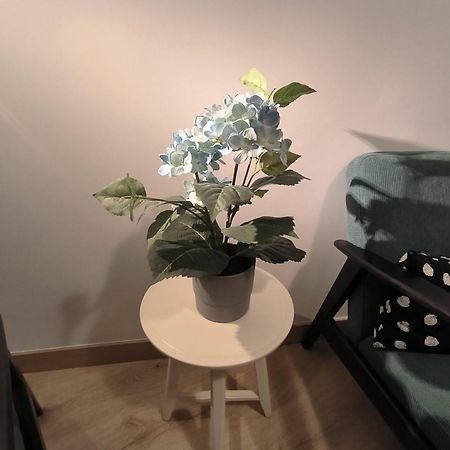 Apartamento Zabala Conoce Bilbao Desde Dentro 外观 照片
